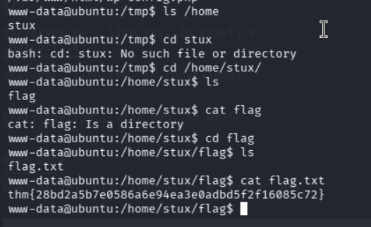 Lectura de flag.txt